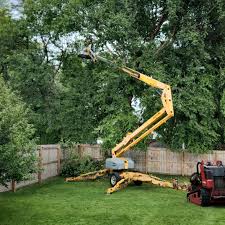 Best Lawn Grading and Leveling  in Minier, IL